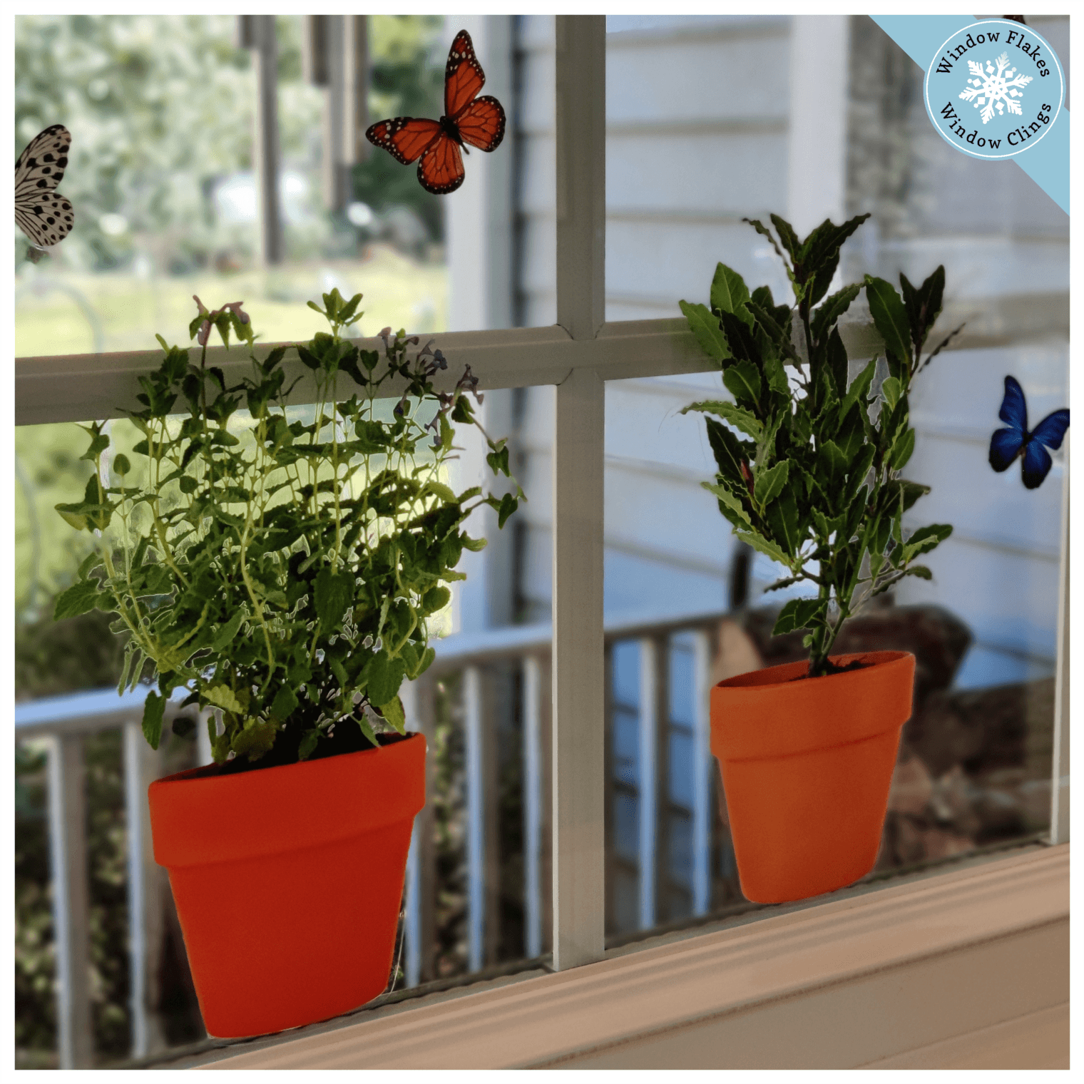 window plant pot holders Potted Herbs and Butterfly Window Sticker