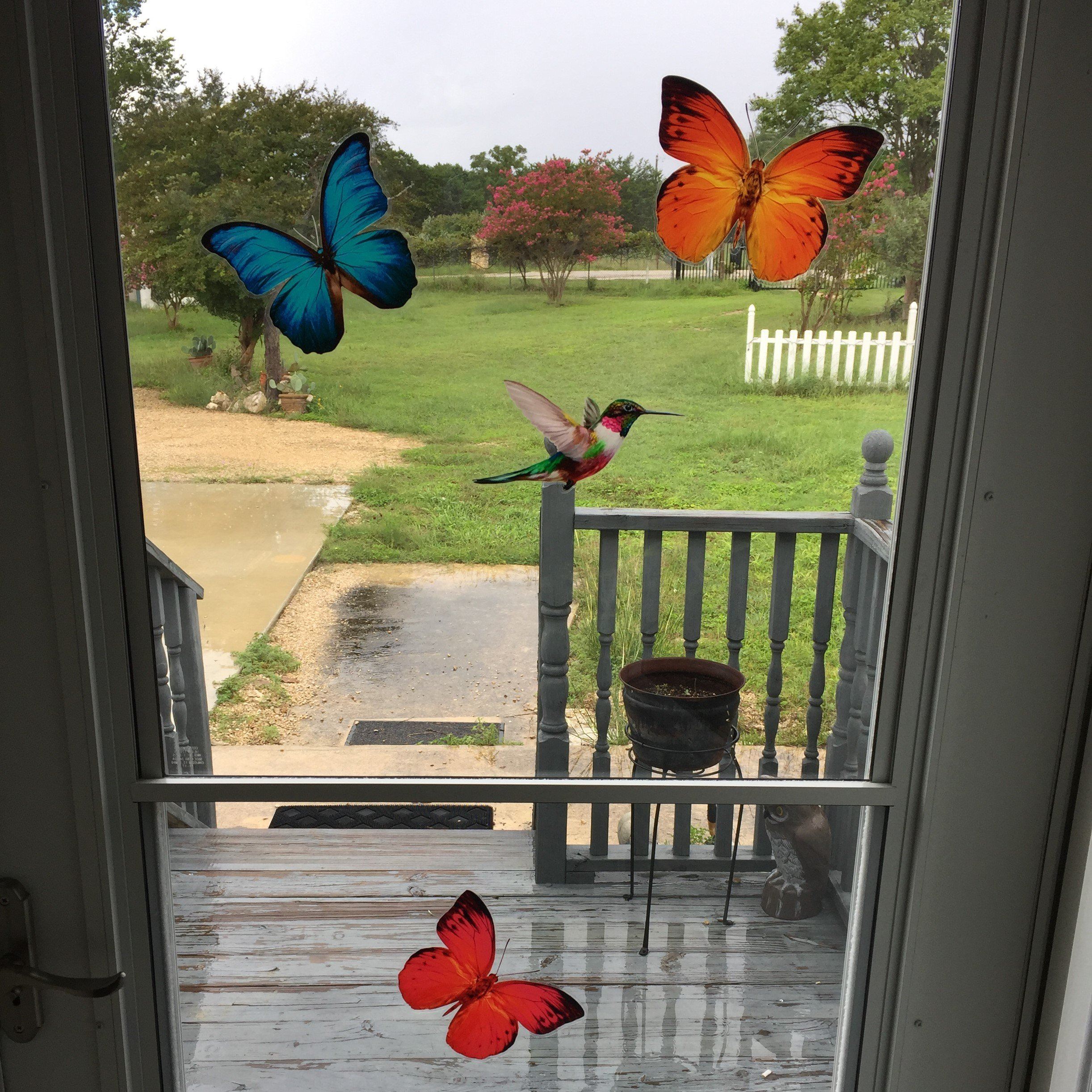 Butterfly & Hummingbird Window Cling Pics :: Elaine T. – Window Flakes