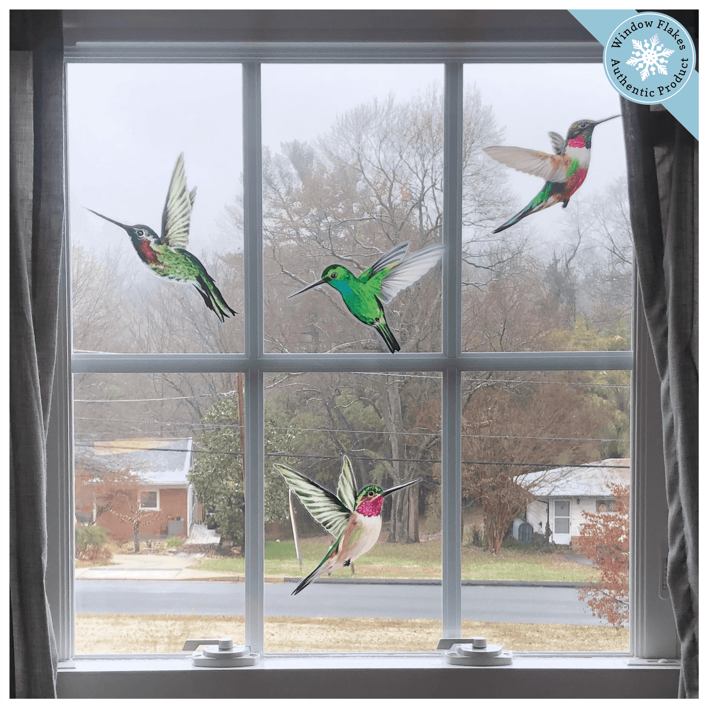 Window Decals for Bird Safety and to Prevent Bird Strikes Window Flakes